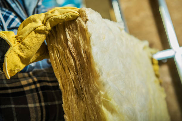 Best Local Insulation Services  in Mexia, TX